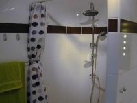 Wellnessdusche Bild 11: Apartment Burde in Berlin Buckow 2